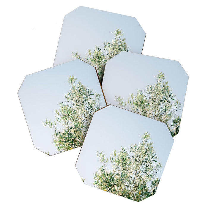 The olive tree | Italy fine art travel photography | Ostuni art Coaster Gallery Image 1
