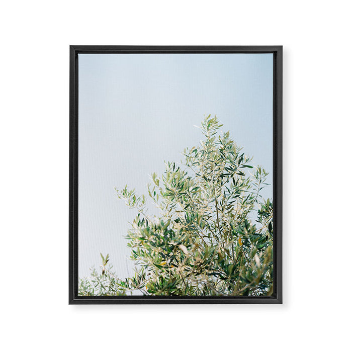 The olive tree | Italy fine art travel photography | Ostuni art Framed Canvas Print Gallery Image 1