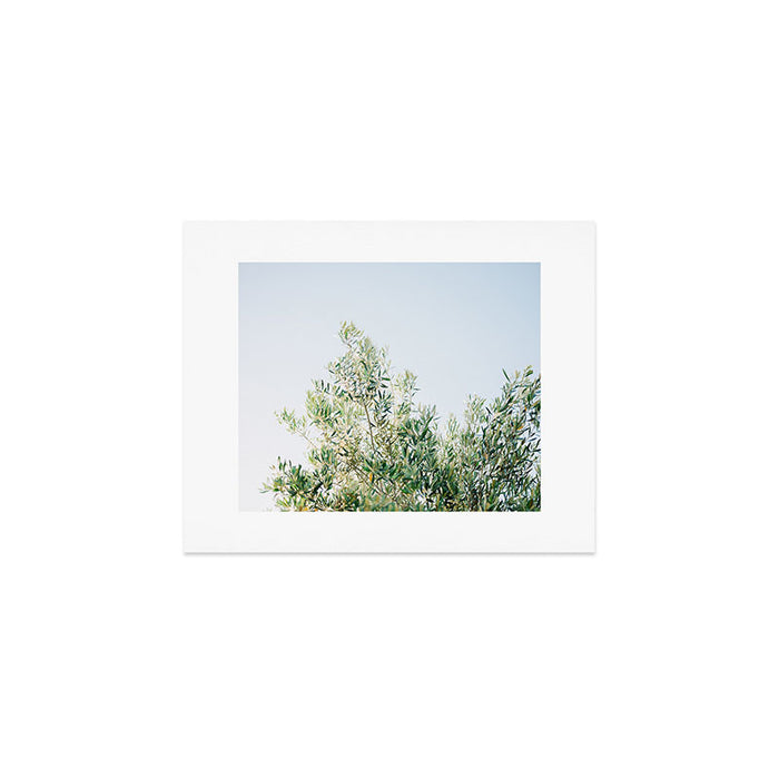 The olive tree | Italy fine art travel photography | Ostuni art Art Print Gallery Image 1