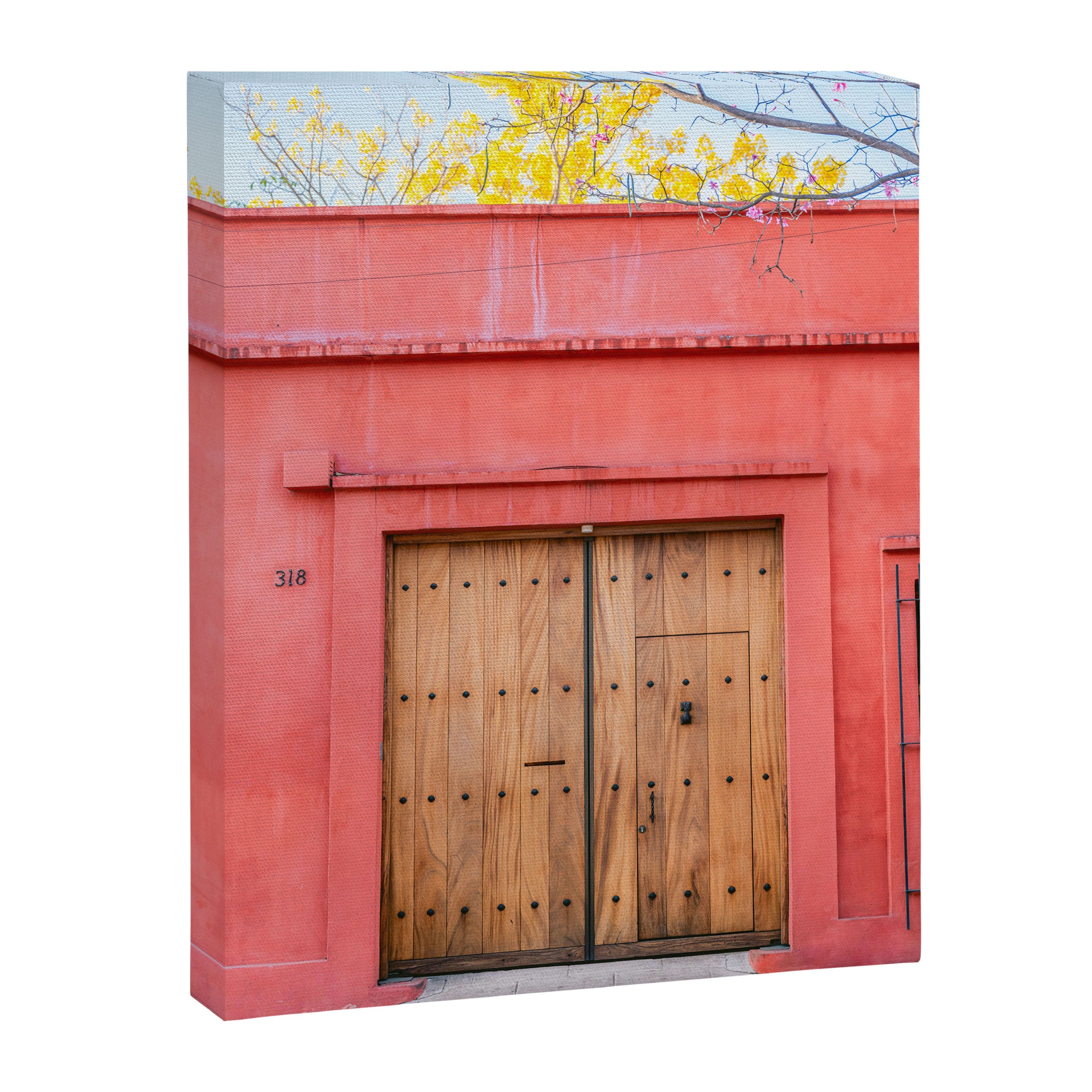Wooden doors of Oaxaca | Mexico Travel Photography  Canvas Print Gallery Image 6
