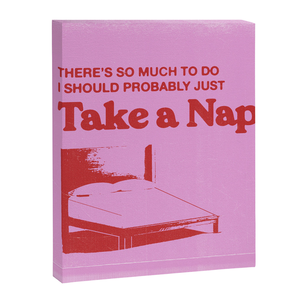 Take A Nap Canvas Print Gallery Image 6