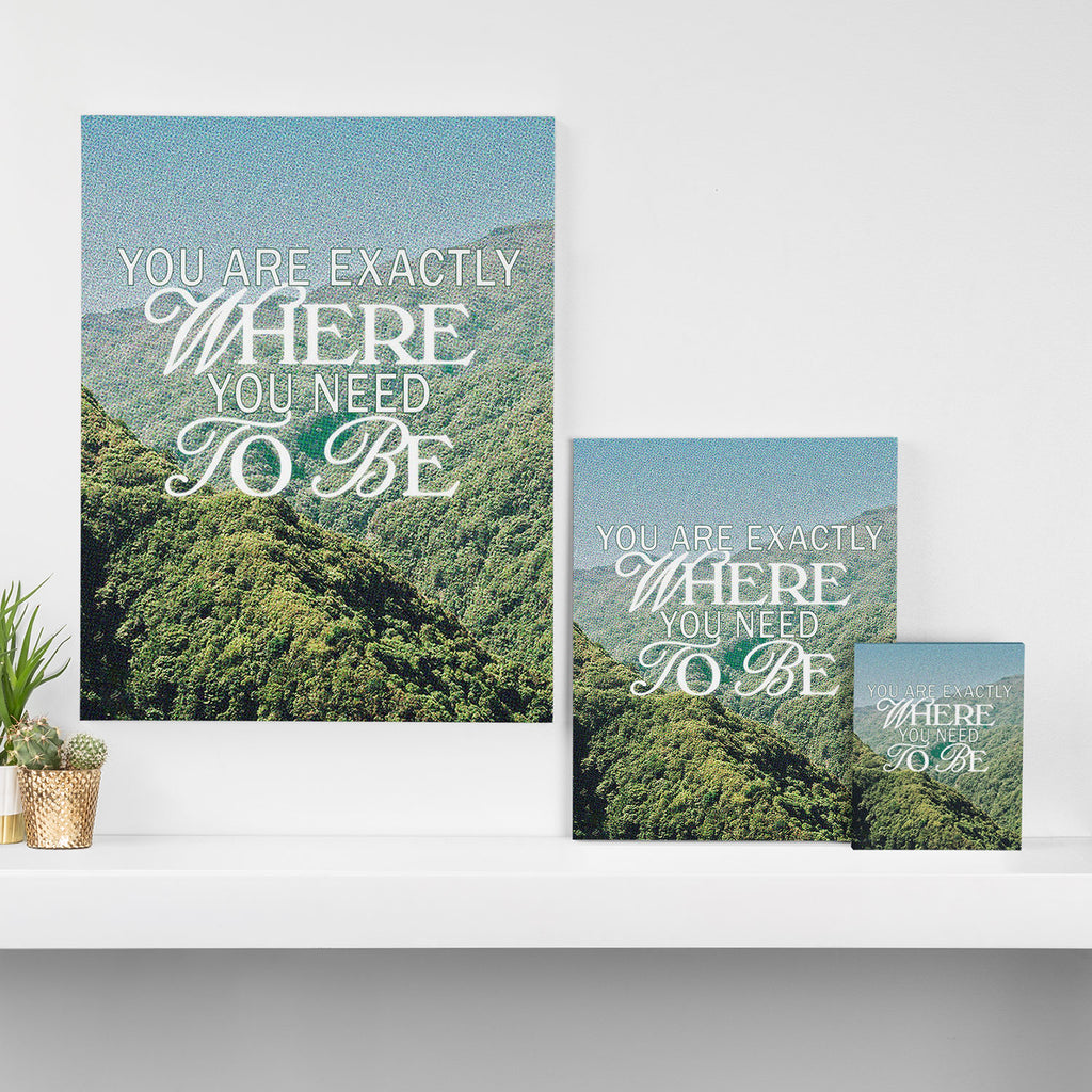 You Are Exactly Where You Need to Be Canvas Print Gallery Image 3