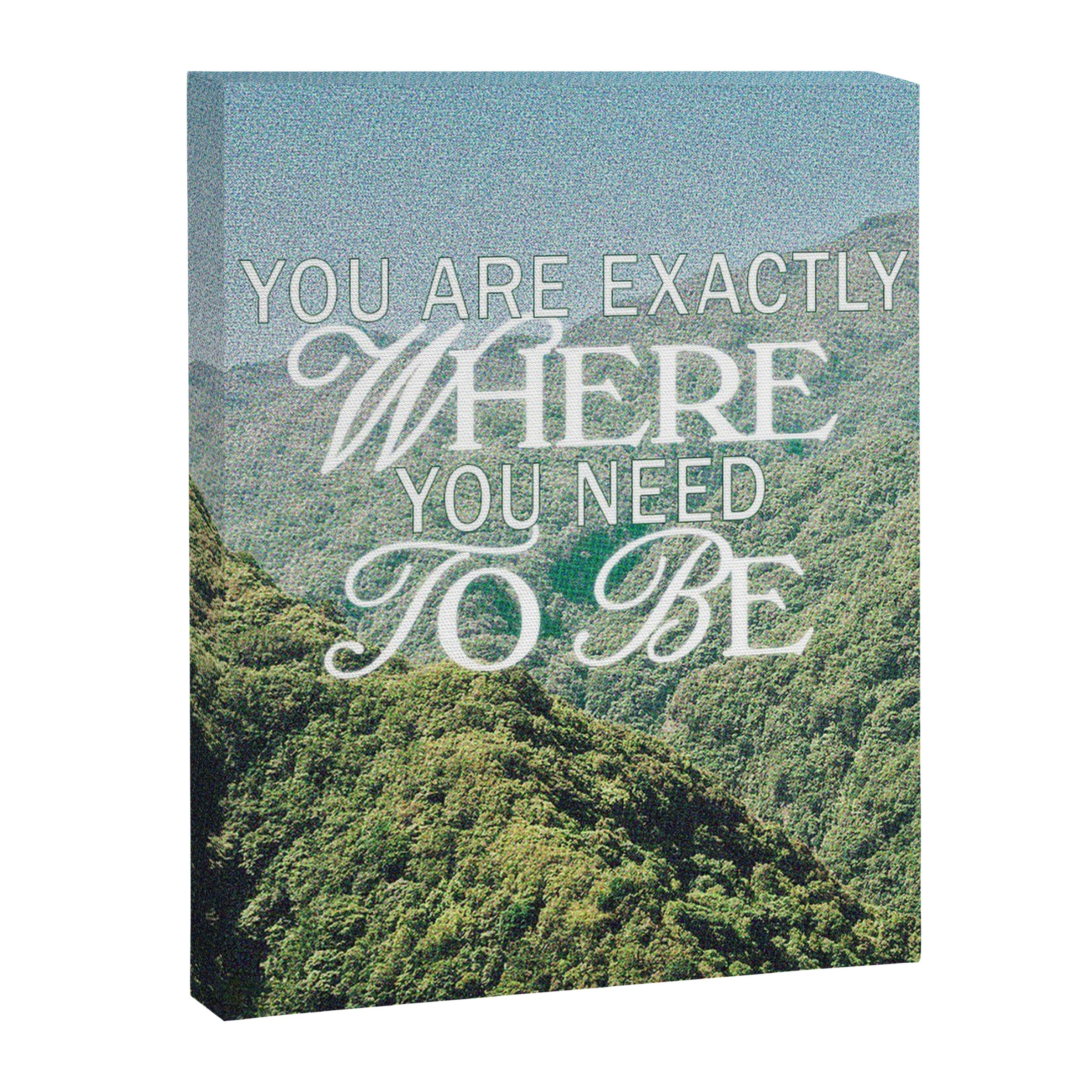 You Are Exactly Where You Need to Be Canvas Print Gallery Image 6