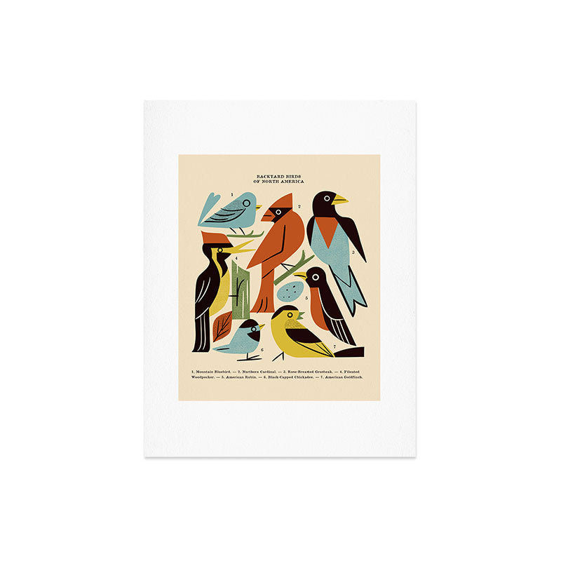 renea-l-thull-backyard-birds-