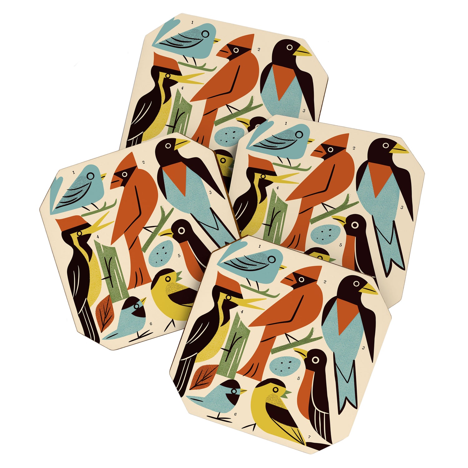 Backyard Birds Guide Coaster Gallery Image 1