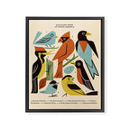 Backyard Birds Guide Framed Canvas Print Gallery Image 8