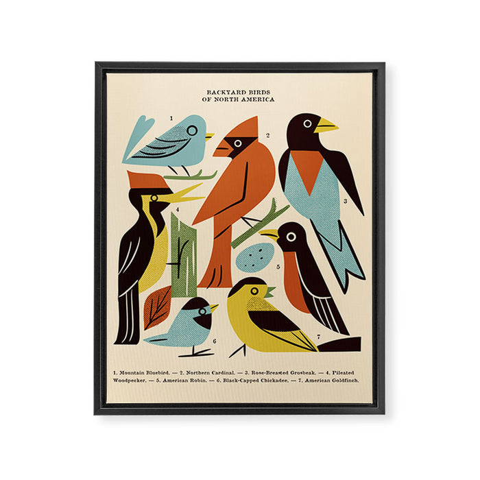 Backyard Birds Guide Framed Canvas Print Gallery Image 1