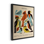 Backyard Birds Guide Framed Canvas Print Gallery Image 2