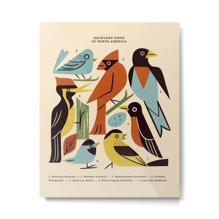 Backyard Birds Guide Metal Print Gallery Image 1