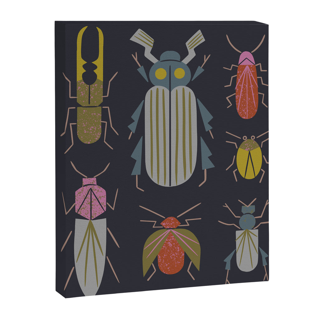 Beetle Specimens Canvas Print Gallery Image 8