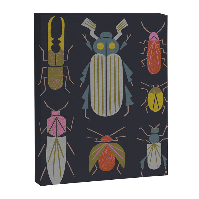 Beetle Specimens Canvas Print Gallery Image 1