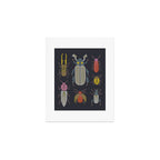 Beetle Specimens Art Print Gallery Image 1