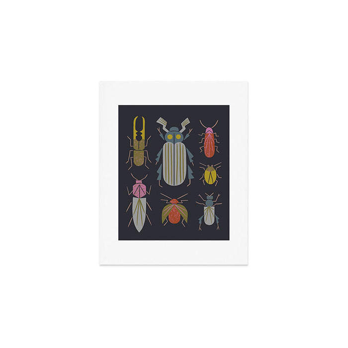 Beetle Specimens Art Print Gallery Image 1