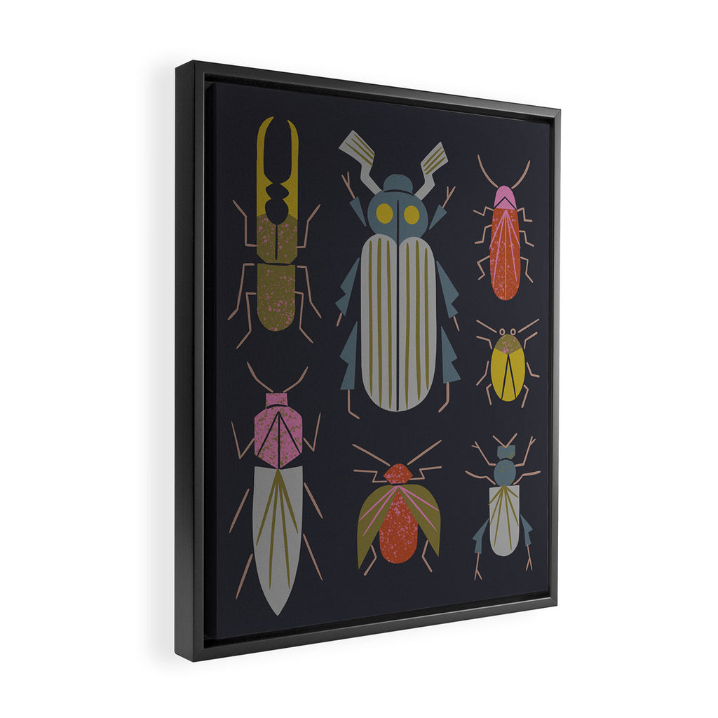 Beetle Specimens Framed Canvas Print Gallery Image 2