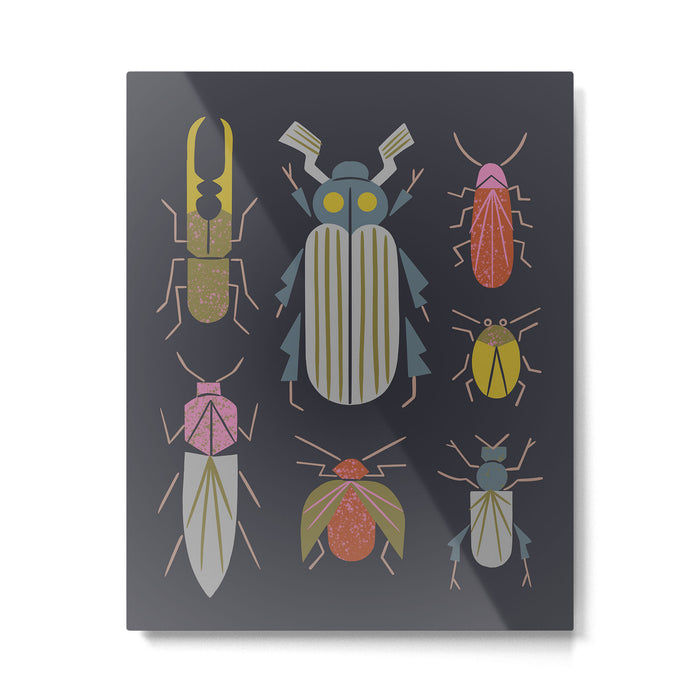 Beetle Specimens Metal Print Gallery Image 1