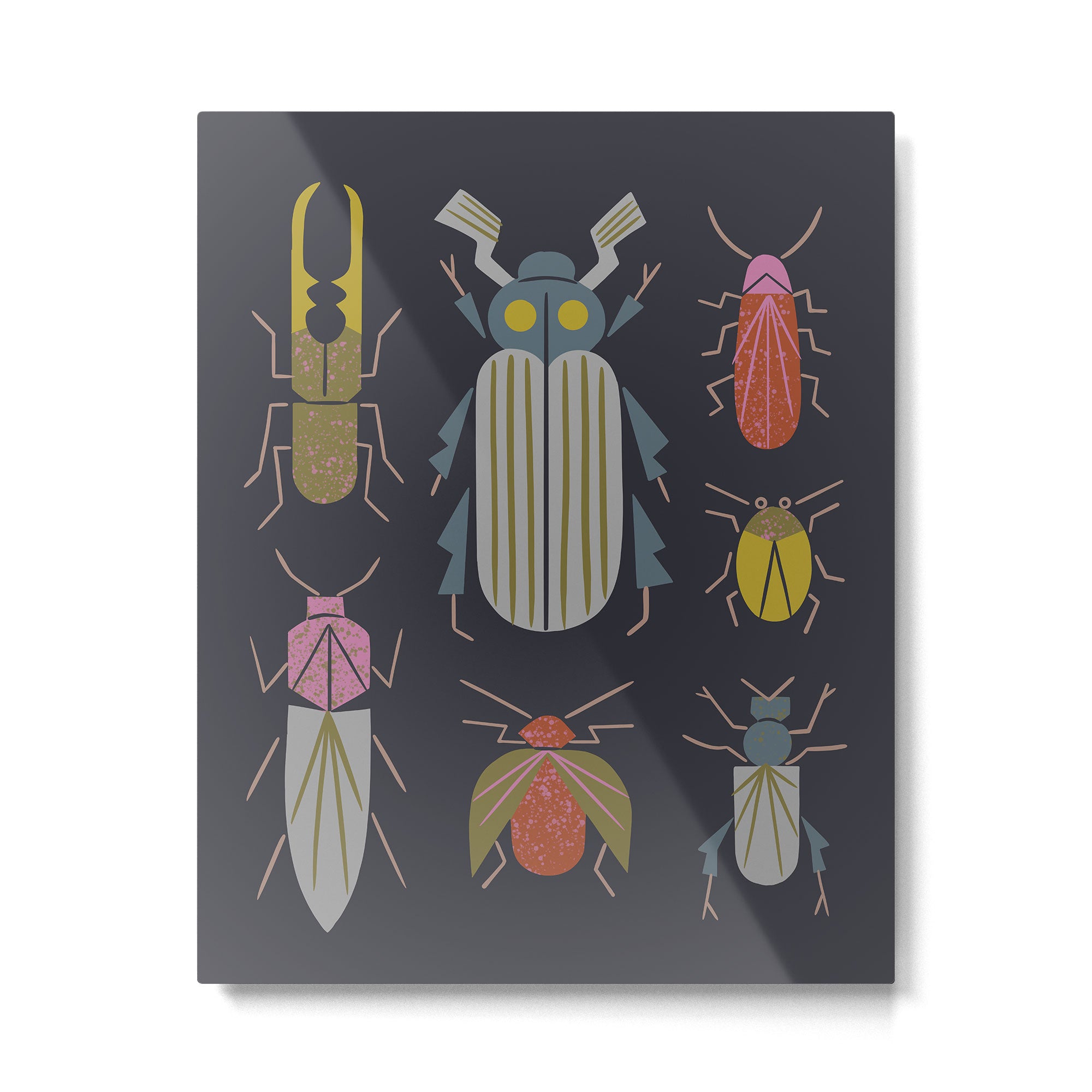 Beetle Specimens Metal Print Gallery Image 6