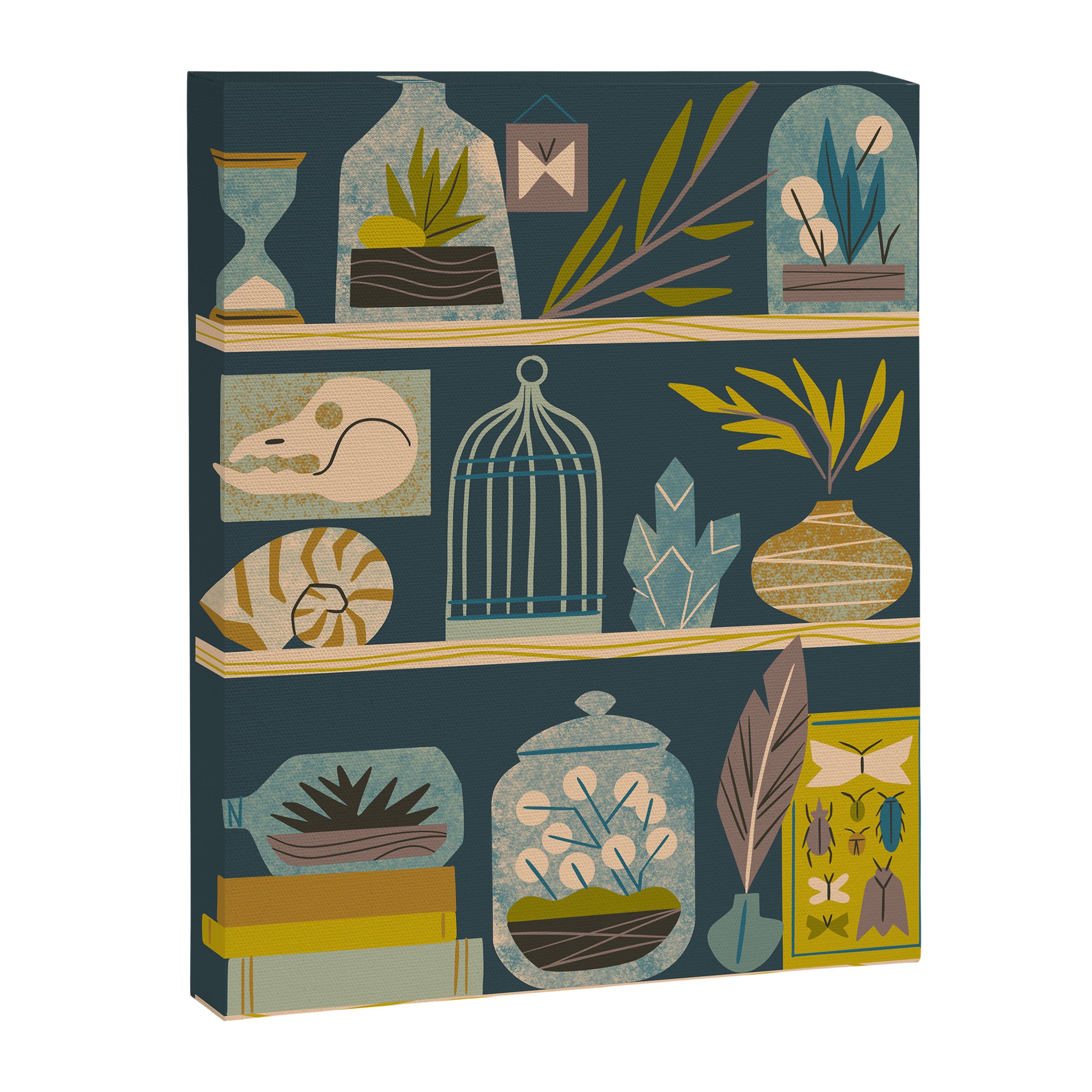 Collected by the Naturalist Canvas Print Gallery Image 6