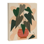 Hello Begonia Canvas Print Gallery Image 6
