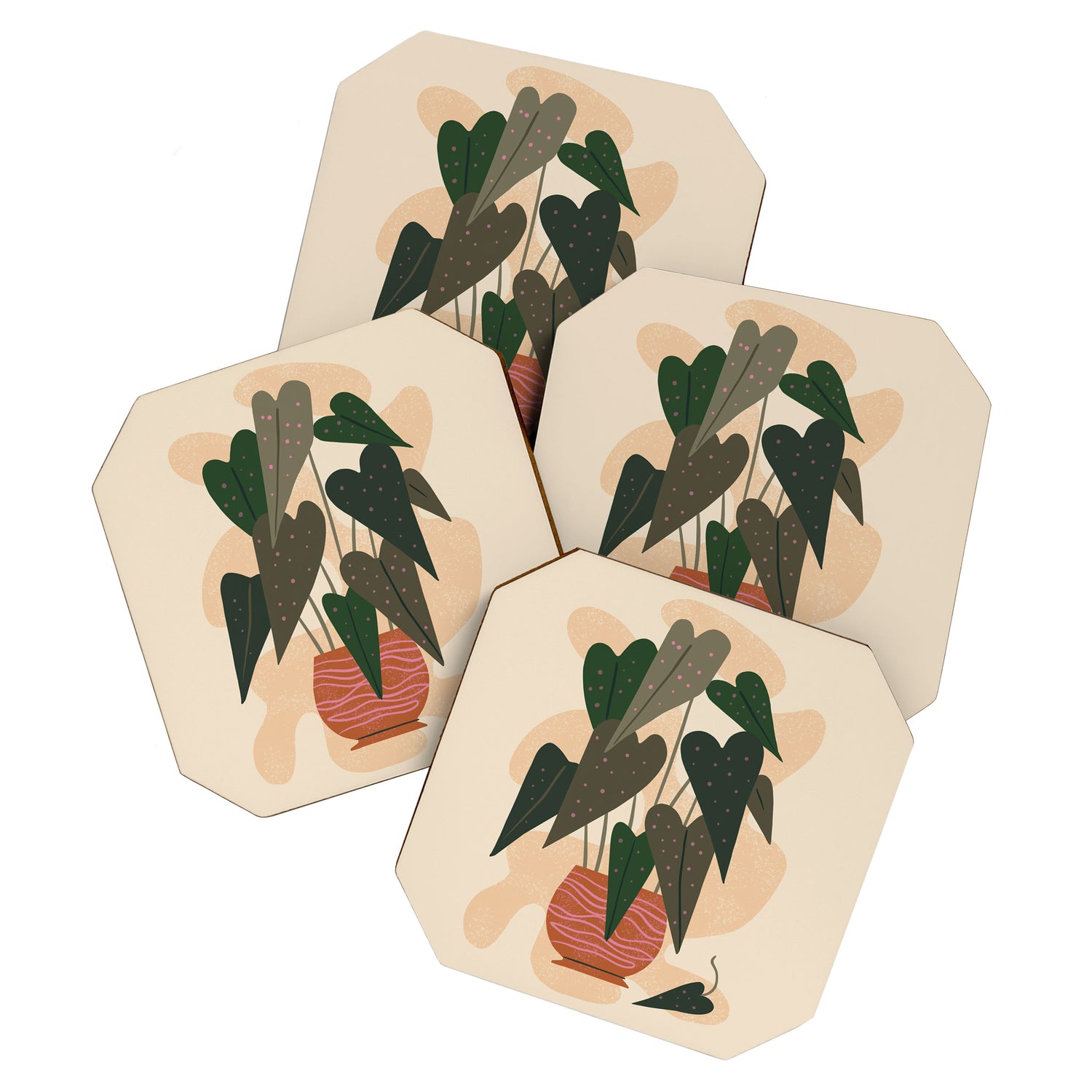 Hello Begonia Coaster Gallery Image 1