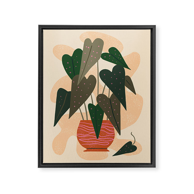 Hello Begonia Framed Canvas Print Gallery Image 6