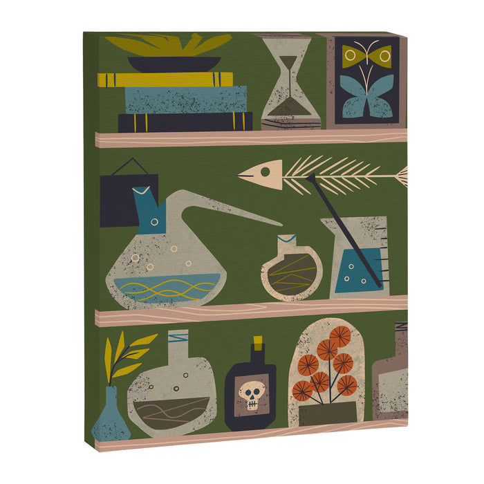 Laboratory Shelves Canvas Print Gallery Image 1