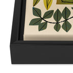 Leaf Collection Framed Canvas Print Gallery Image 3