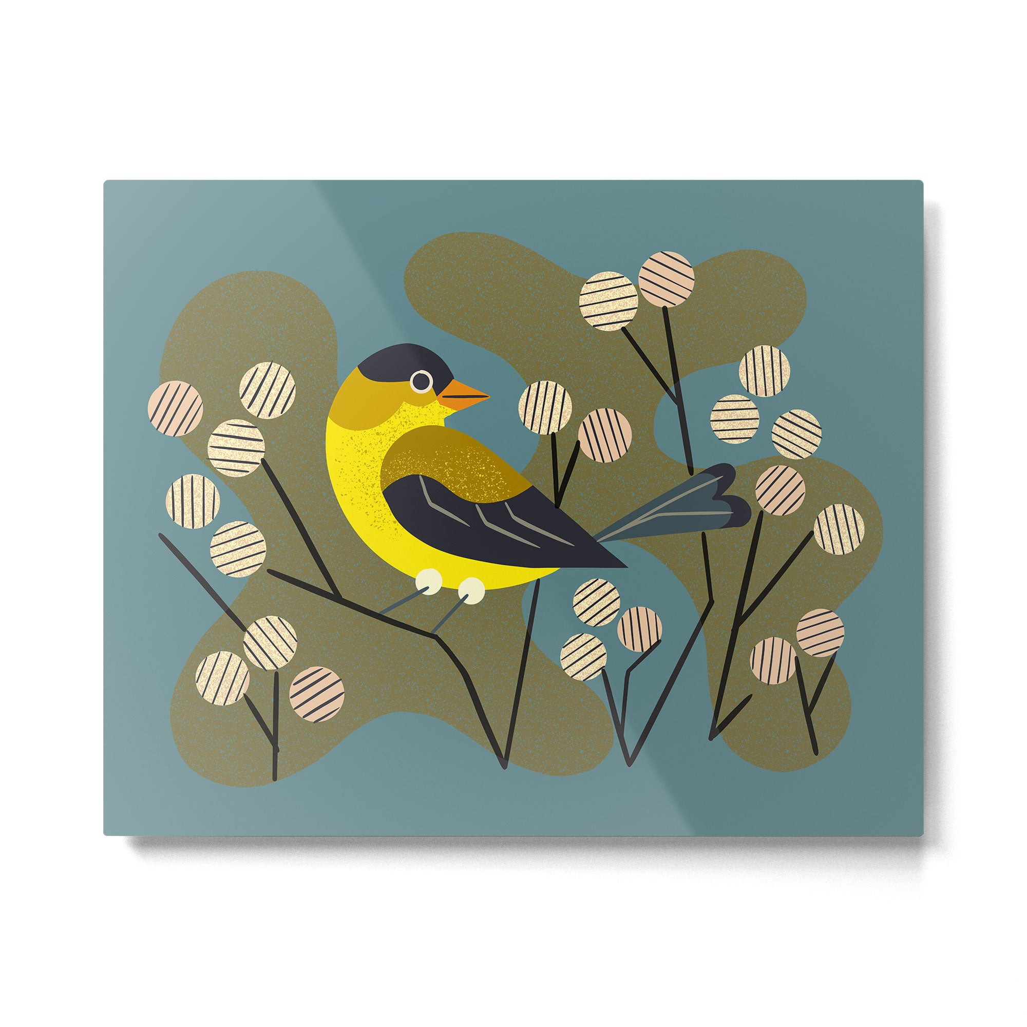 Meadow Goldfinch Metal Print Gallery Image 4