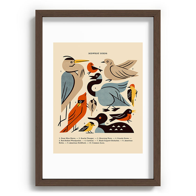 renea-l-thull-midwest-birds-