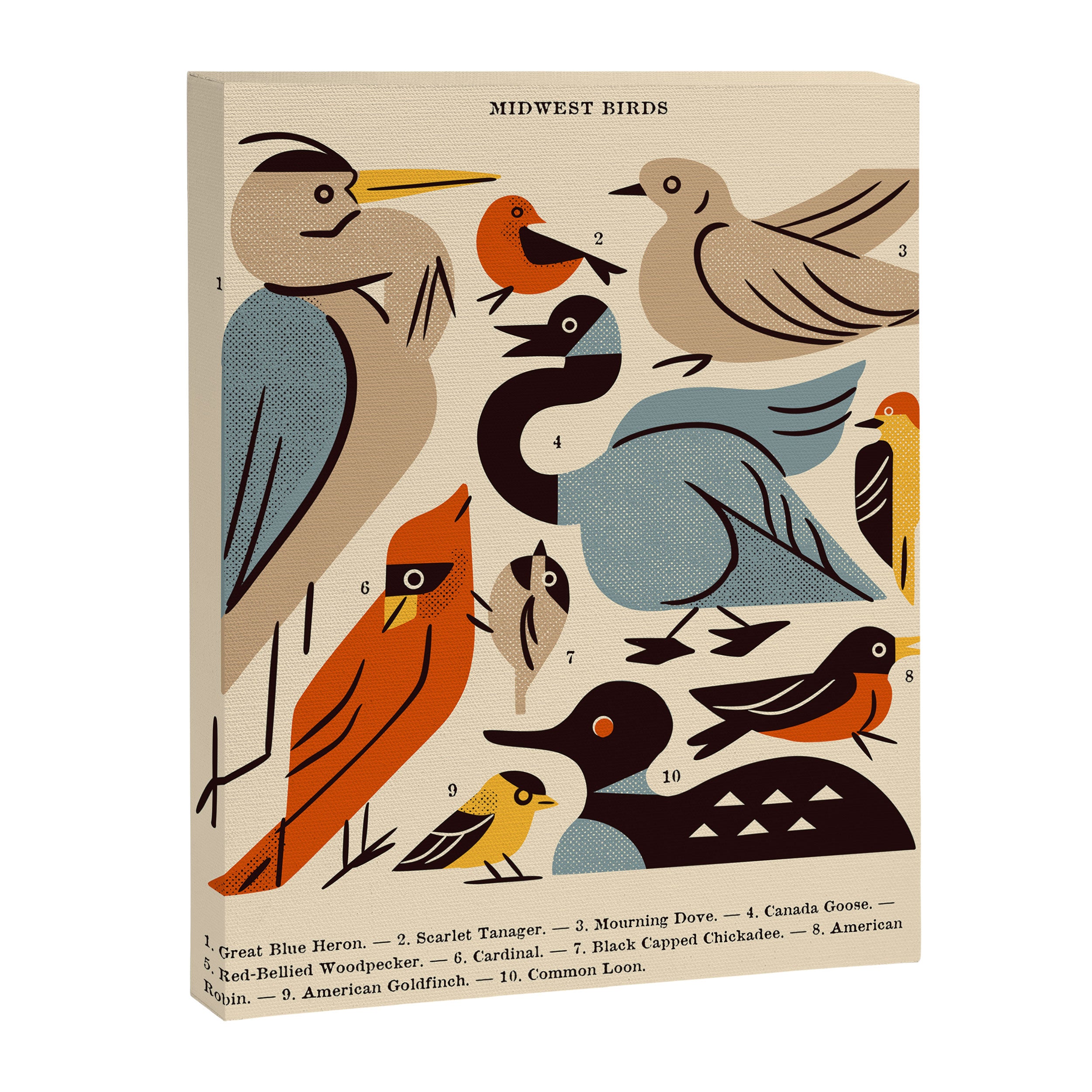 Midwest Birds Guide Canvas Print Gallery Image 8