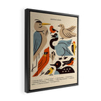 Midwest Birds Guide Framed Canvas Print Gallery Image 2