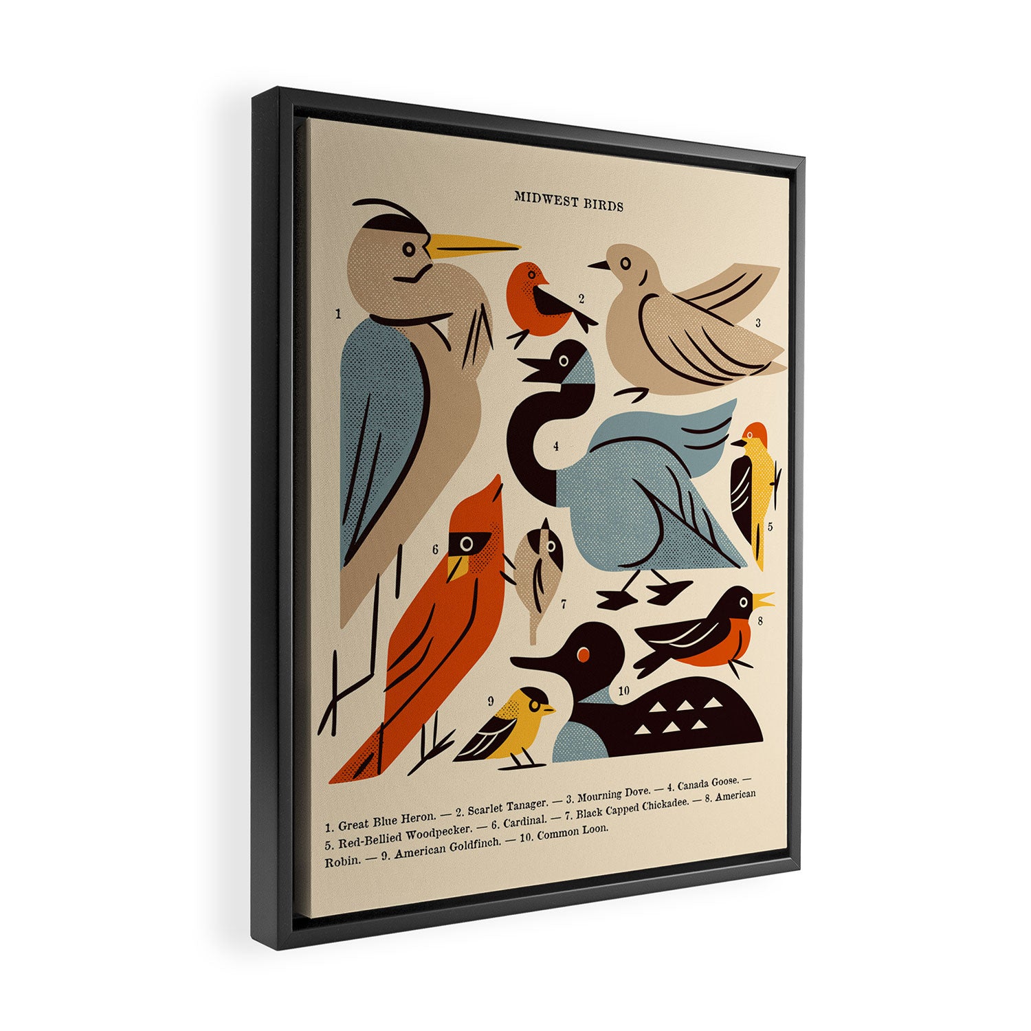 Midwest Birds Guide Framed Canvas Print Gallery Image 2