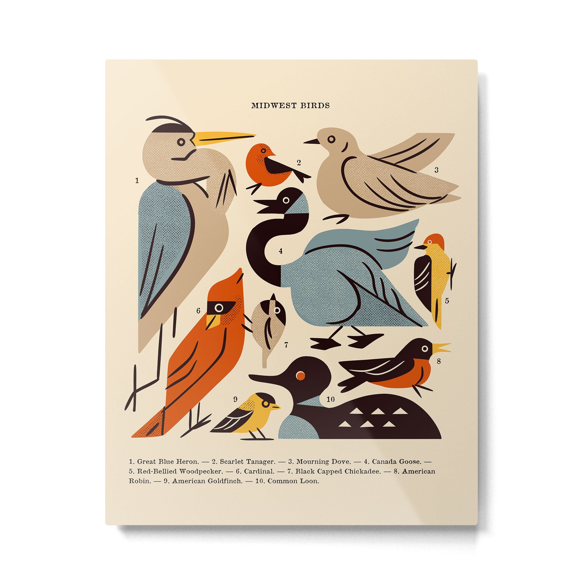 Midwest Birds Guide Metal Print Gallery Image 6