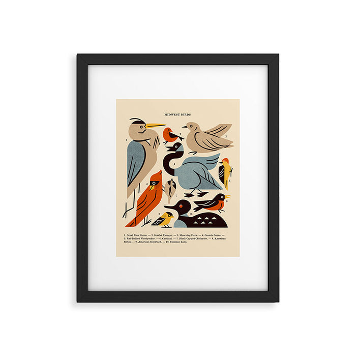 Midwest Birds Guide Framed Art Print Gallery Image 1
