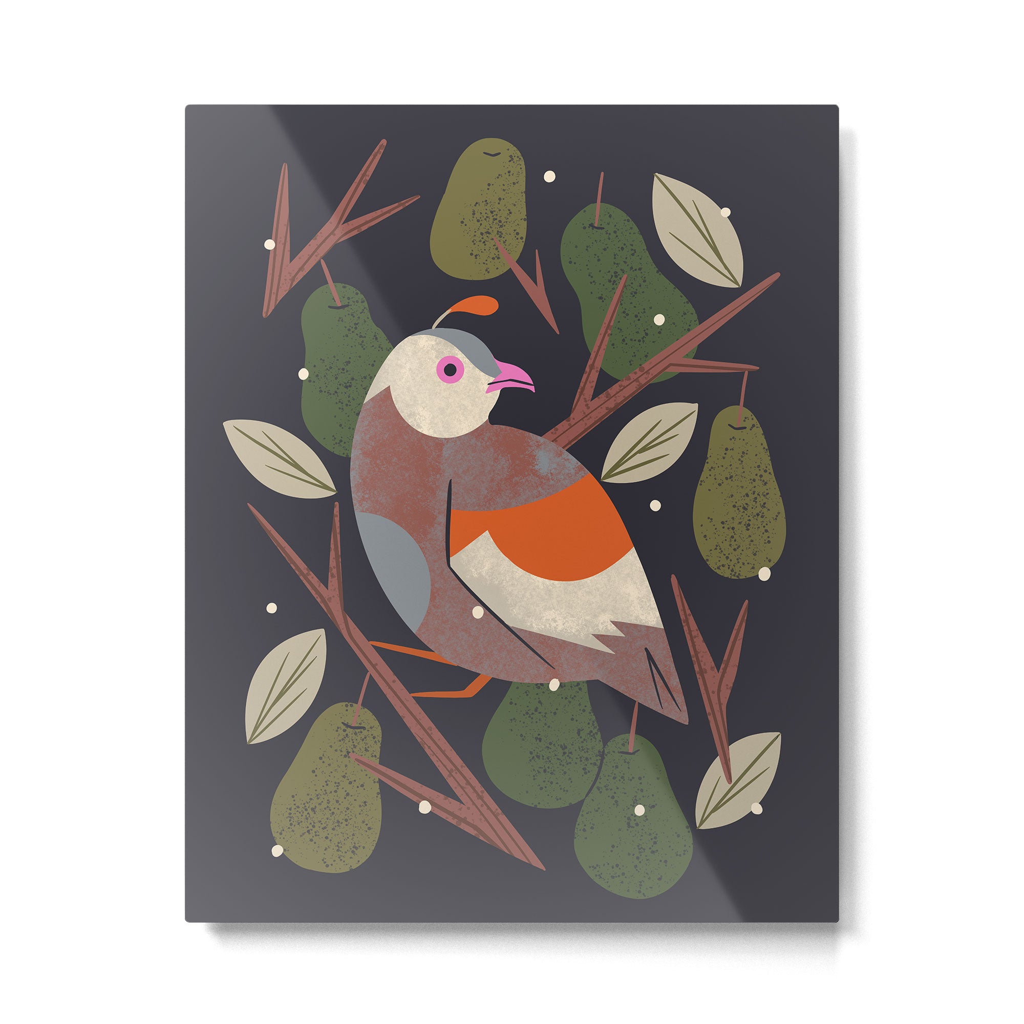 Partridge in a Pear Tree Metal Print Gallery Image 4