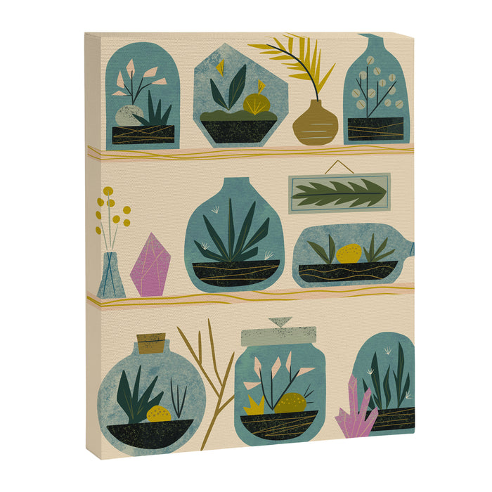 The Terrarium Collection Canvas Print Gallery Image 1