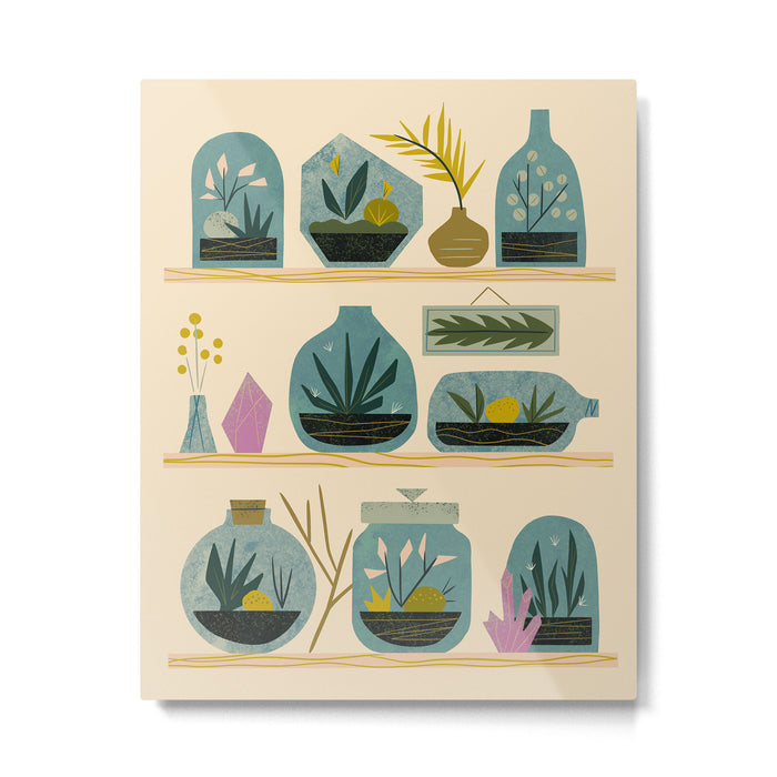 The Terrarium Collection Metal Print Gallery Image 1