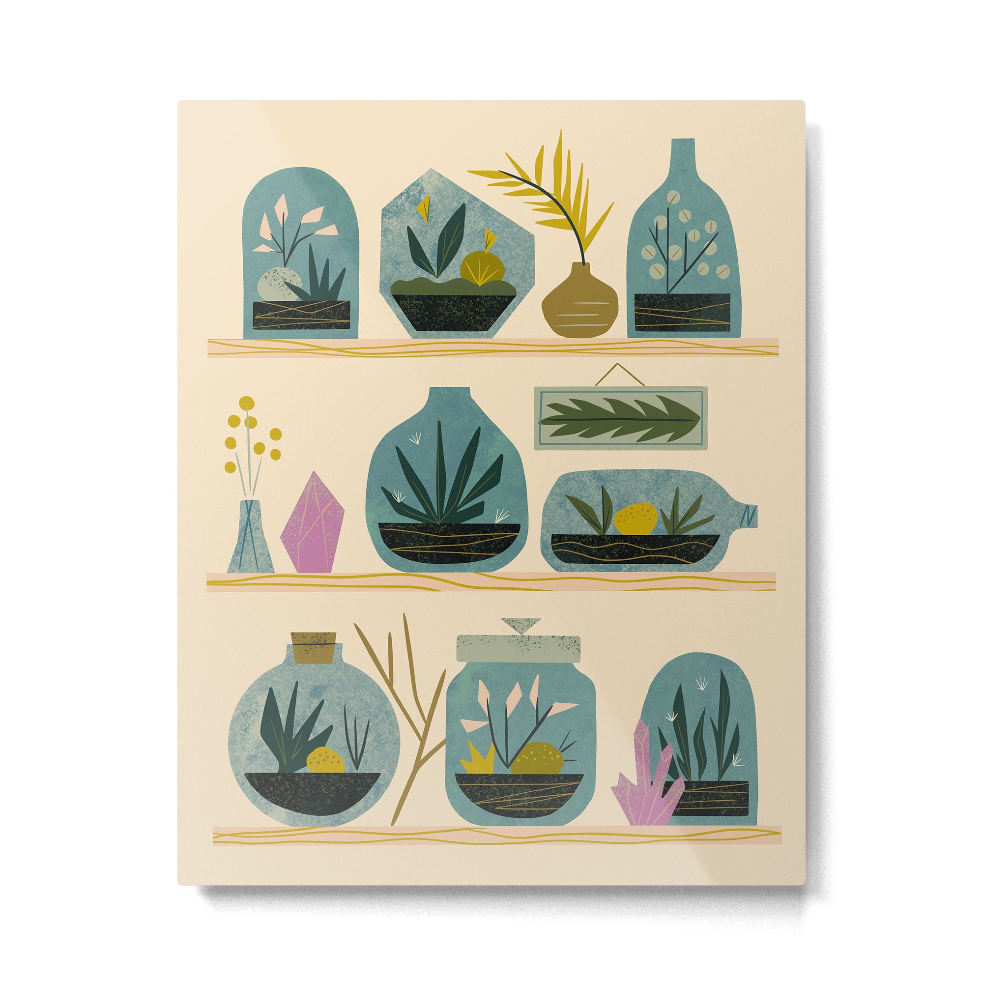 The Terrarium Collection Metal Print Gallery Image 4
