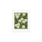 White Orchids Art Print Gallery Image 1