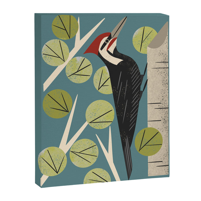 Woodpecker in Aspen Tree Canvas Print Gallery Image 1