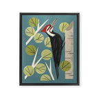 Woodpecker in Aspen Tree Framed Canvas Print Gallery Image 6