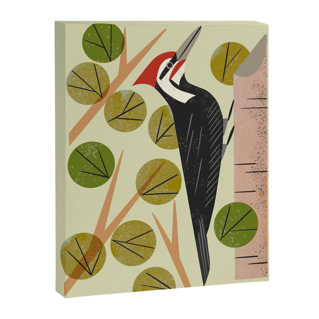 Woodpecker In Aspen Tree Canvas Print Gallery Image 6