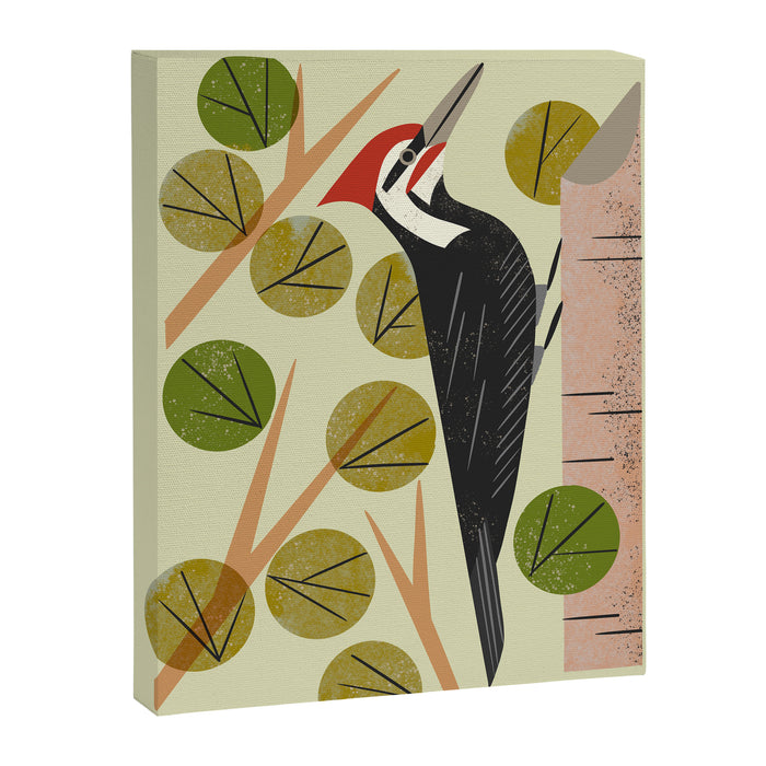 Woodpecker In Aspen Tree Canvas Print Gallery Image 1