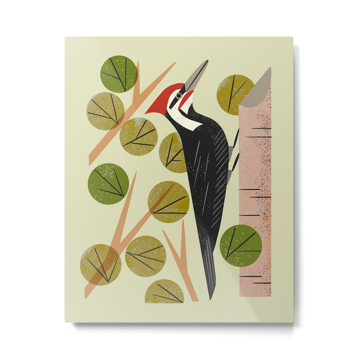 Woodpecker In Aspen Tree Metal Print Gallery Image 1