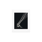 Esplendor Geometrico Art Print Gallery Image 1