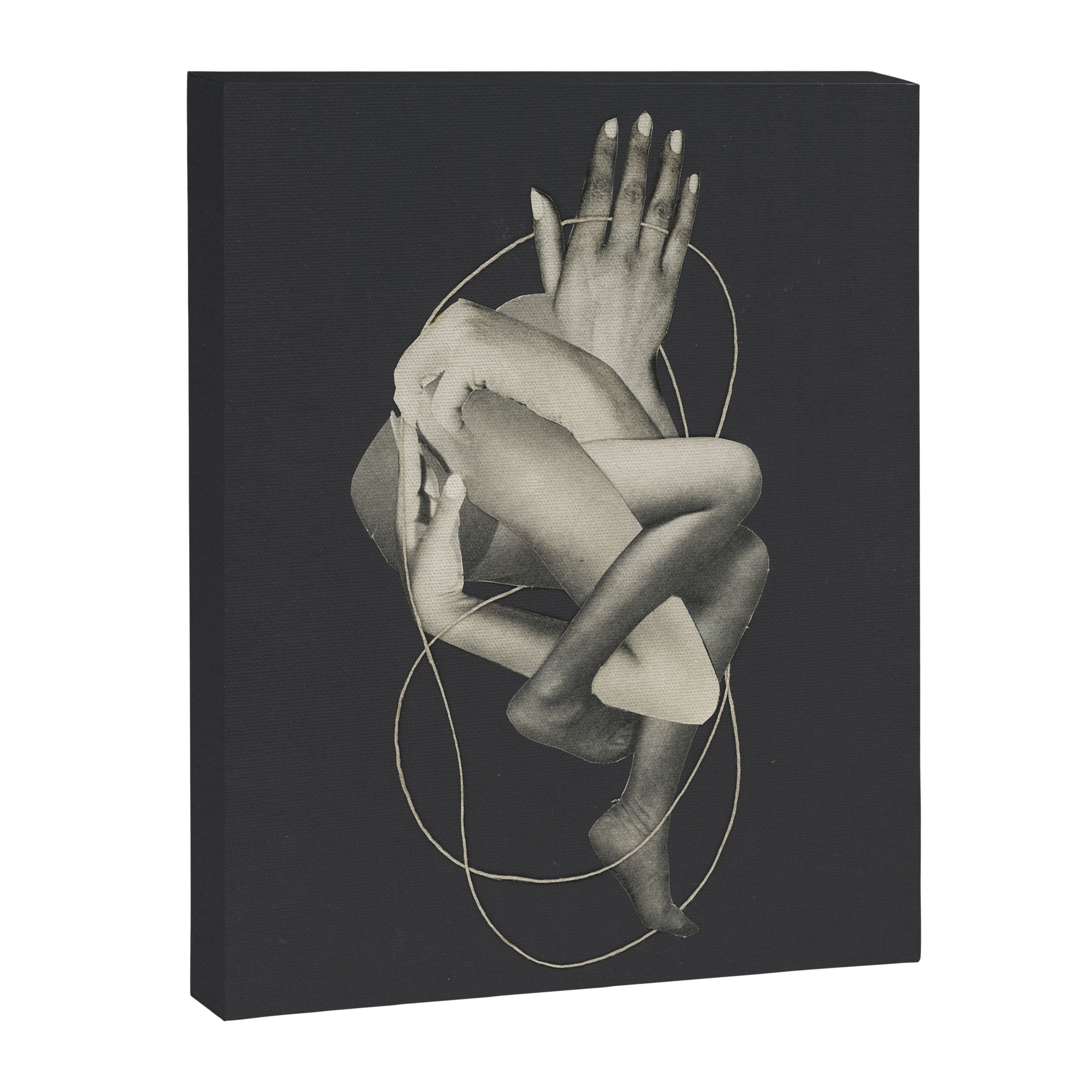 Intertwined Canvas Print Gallery Image 6