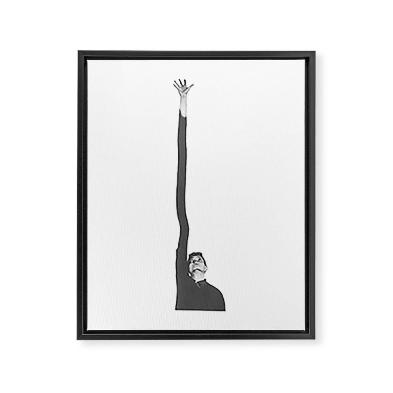 Out of Reach Framed Canvas Print Gallery Image 6