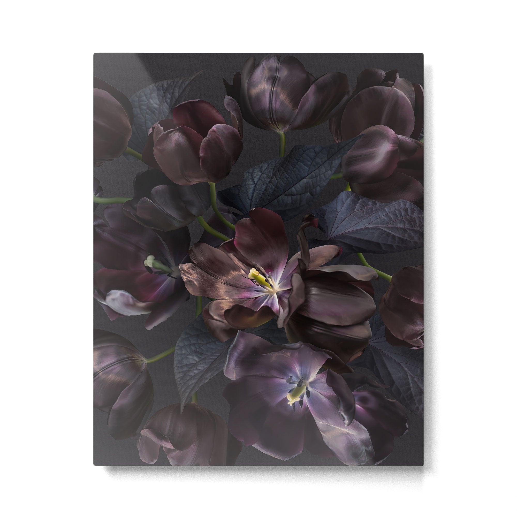 Black tulips on dark background Metal Print Gallery Image 6