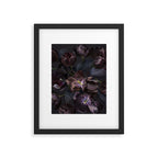 Black tulips on dark background Framed Art Print Gallery Image 6