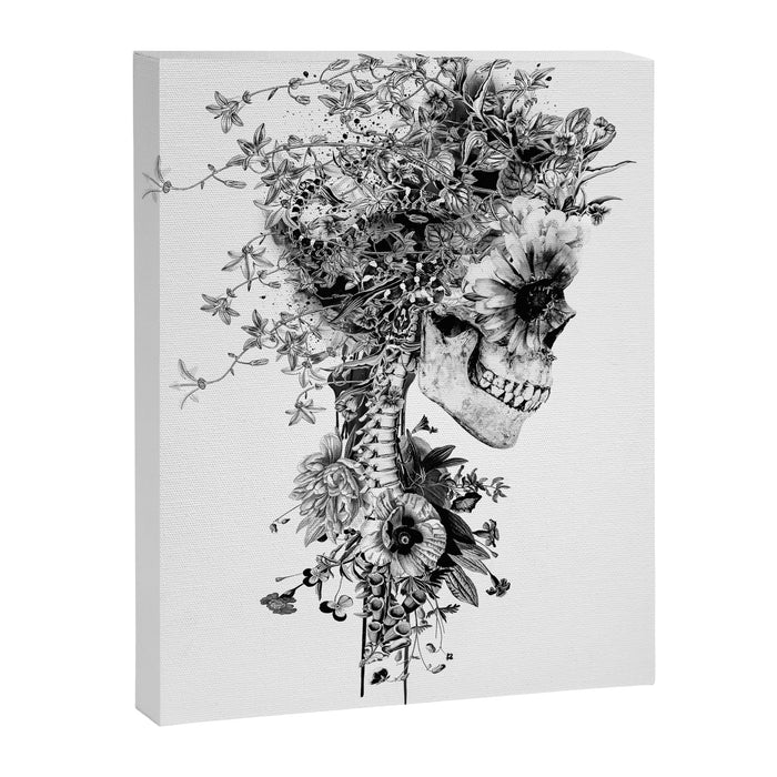 Skull BW Canvas Print Gallery Image 1