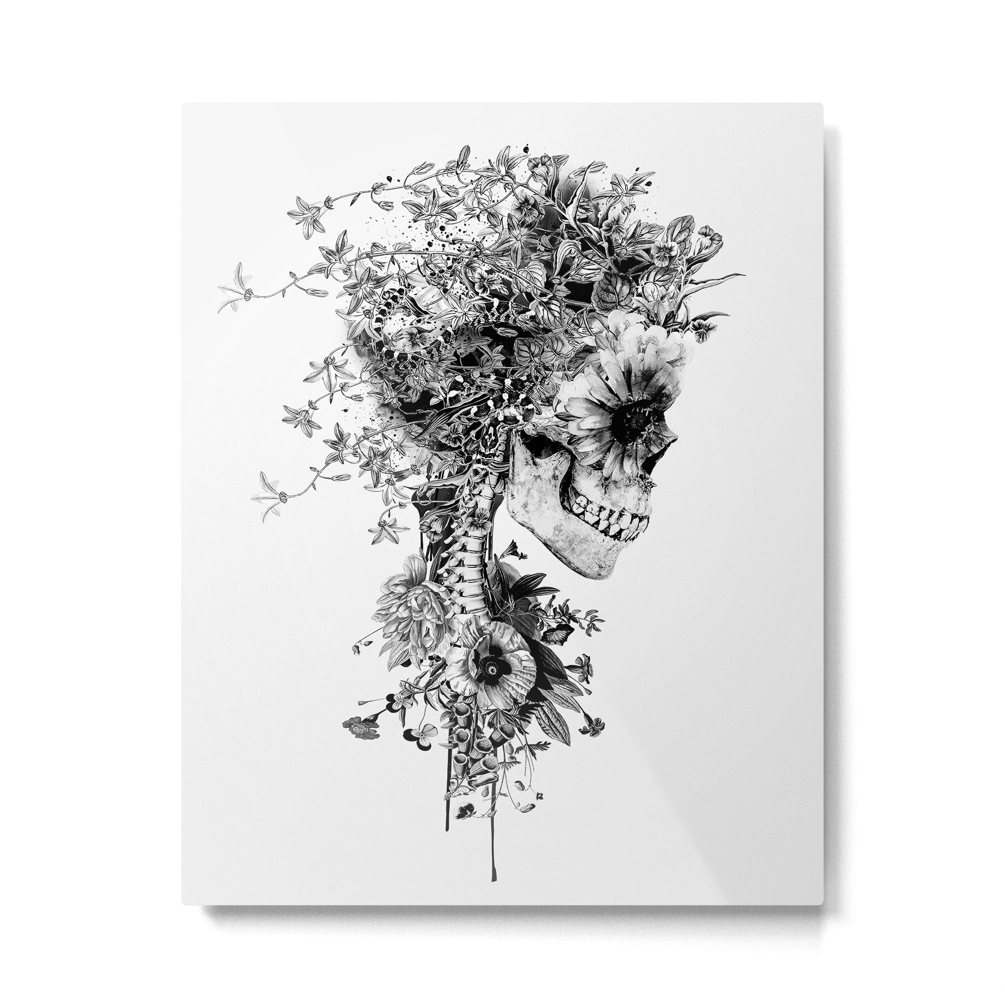 Skull BW Metal Print Gallery Image 4